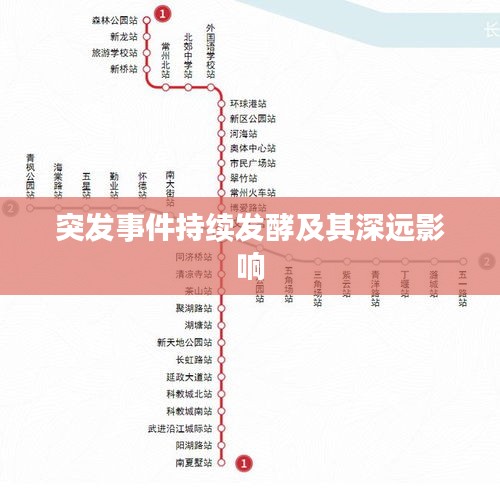 突發(fā)事件持續(xù)發(fā)酵及其深遠(yuǎn)影響