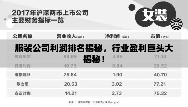 服裝公司利潤排名揭秘，行業(yè)盈利巨頭大揭秘！