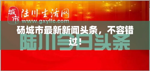 碭城市最新新聞頭條，不容錯過！