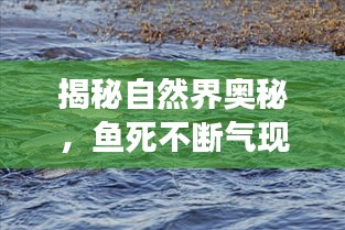 揭秘自然界奧秘，魚(yú)死不斷氣現(xiàn)象揭示生命奇跡