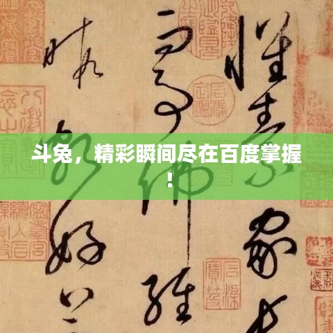 斗兔，精彩瞬間盡在百度掌握！