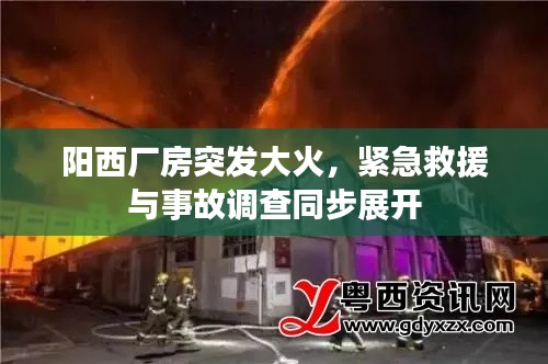 陽西廠房突發(fā)大火，緊急救援與事故調(diào)查同步展開