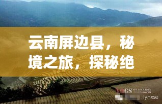 云南屏邊縣，秘境之旅，探秘絕美風光與民俗文化攻略！