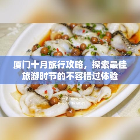 廈門十月旅行攻略，探索最佳旅游時節(jié)的不容錯過體驗