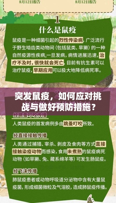 突發(fā)鼠疫，如何應對挑戰(zhàn)與做好預防措施？