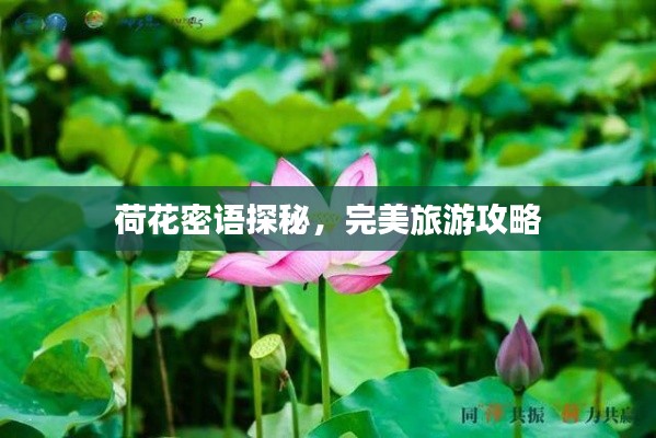 慷慨就義