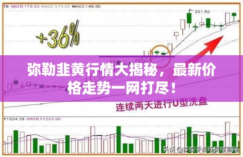 彌勒韭黃行情大揭秘，最新價(jià)格走勢(shì)一網(wǎng)打盡！