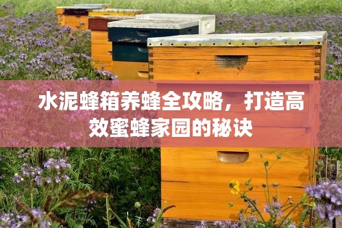 水泥蜂箱養(yǎng)蜂全攻略，打造高效蜜蜂家園的秘訣