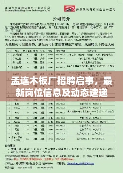 孟連木板廠招聘啟事，最新崗位信息及動(dòng)態(tài)速遞