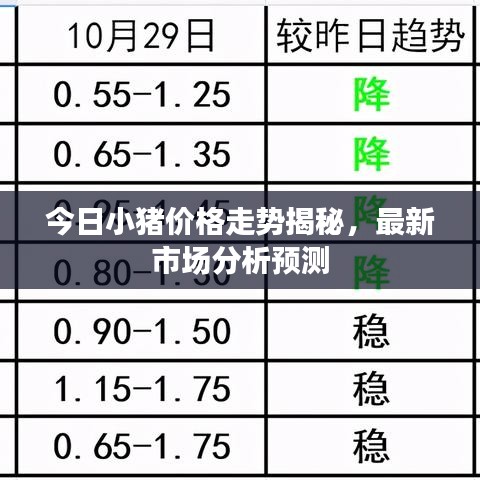 今日小豬價格走勢揭秘，最新市場分析預測