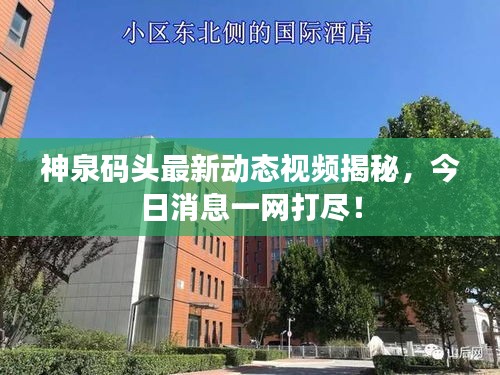 神泉碼頭最新動(dòng)態(tài)視頻揭秘，今日消息一網(wǎng)打盡！