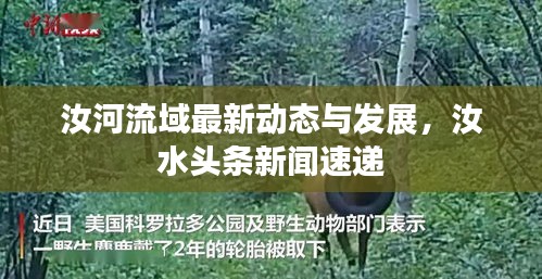 汝河流域最新動(dòng)態(tài)與發(fā)展，汝水頭條新聞速遞