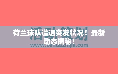 荷蘭球隊(duì)遭遇突發(fā)狀況！最新動(dòng)態(tài)揭秘！