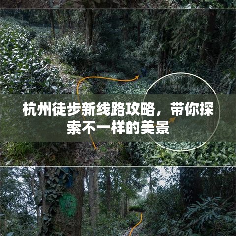 杭州徒步新線路攻略，帶你探索不一樣的美景