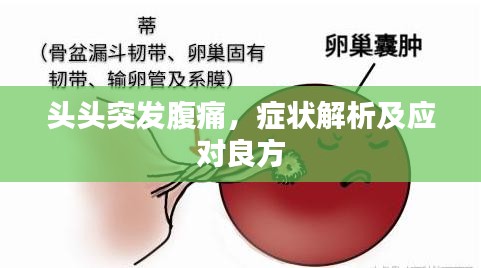 頭頭突發(fā)腹痛，癥狀解析及應(yīng)對良方