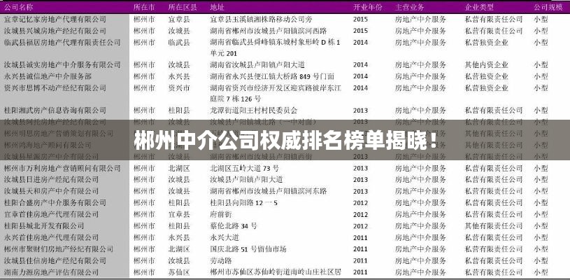 郴州中介公司權(quán)威排名榜單揭曉！