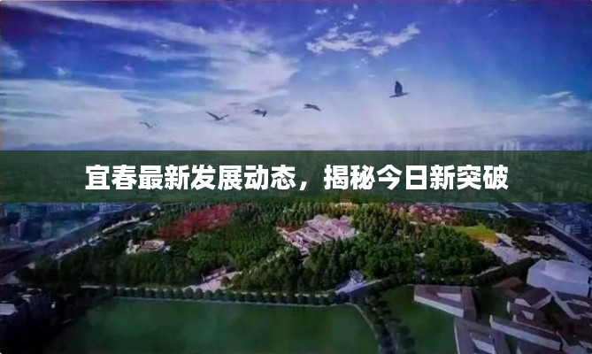 宜春最新發(fā)展動(dòng)態(tài)，揭秘今日新突破