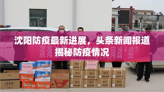 沈陽防疫最新進(jìn)展，頭條新聞報道揭秘防疫情況