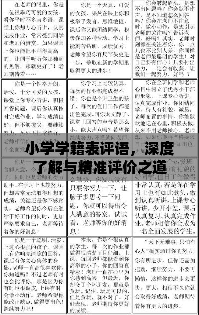 小學(xué)學(xué)籍表評語，深度了解與精準(zhǔn)評價之道