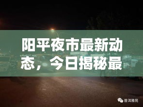 陽平夜市最新動態(tài)，今日揭秘最新消息！
