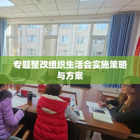 專題整改組織生活會實(shí)施策略與方案