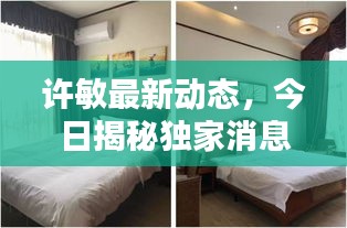 許敏最新動(dòng)態(tài)，今日揭秘獨(dú)家消息！
