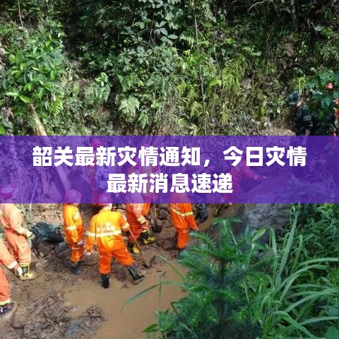 韶關(guān)最新災情通知，今日災情最新消息速遞