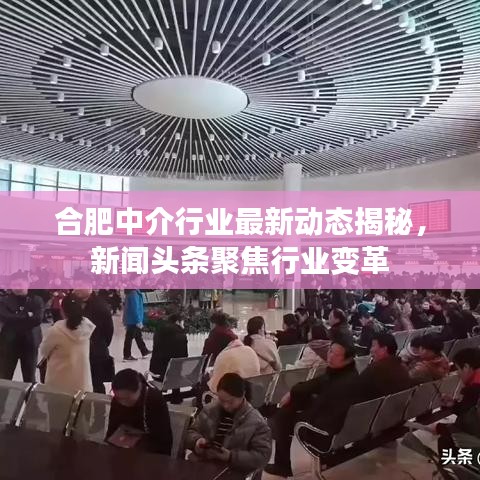 合肥中介行業(yè)最新動(dòng)態(tài)揭秘，新聞?lì)^條聚焦行業(yè)變革