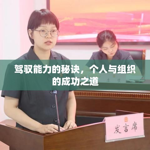 駕馭能力的秘訣，個人與組織的成功之道