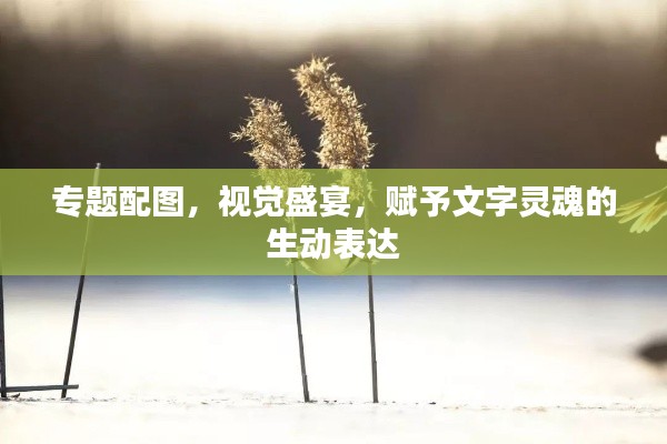 專題配圖，視覺盛宴，賦予文字靈魂的生動(dòng)表達(dá)
