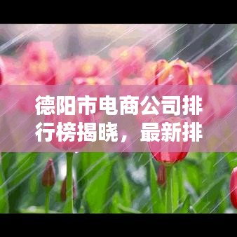 德陽市電商公司排行榜揭曉，最新排名，優(yōu)質(zhì)企業(yè)一網(wǎng)打盡！