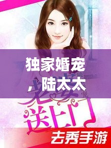 獨家婚寵，陸太太的甜蜜寵溺