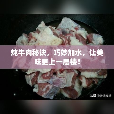 燉牛肉秘訣，巧妙加水，讓美味更上一層樓！