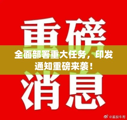 逆風(fēng)飛揚(yáng)