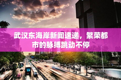 武漢東海岸新聞速遞，繁榮都市的脈搏跳動(dòng)不停