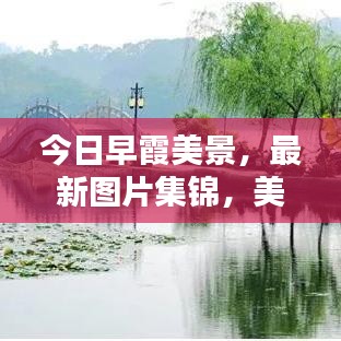 今日早霞美景，最新圖片集錦，美不勝收