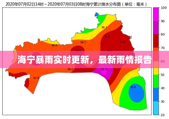 明夷于飛