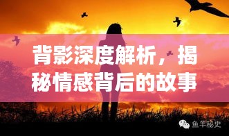 背影深度解析，揭秘情感背后的故事