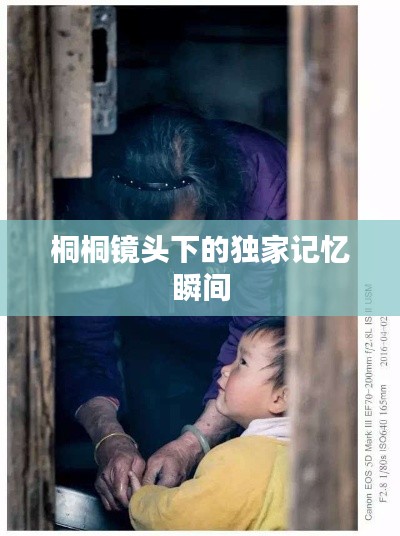 桐桐鏡頭下的獨家記憶瞬間