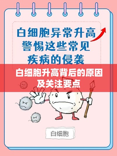白細(xì)胞升高背后的原因及關(guān)注要點(diǎn)
