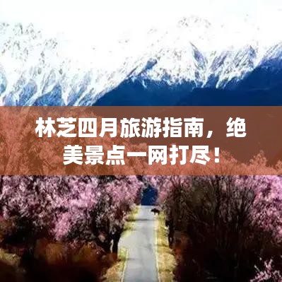 奔走如飛