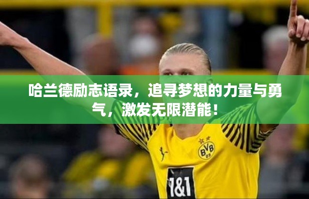 哈蘭德勵志語錄，追尋夢想的力量與勇氣，激發(fā)無限潛能！