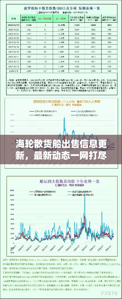 海輪散貨船出售信息更新，最新動(dòng)態(tài)一網(wǎng)打盡