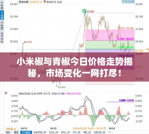小米椒與青椒今日價格走勢揭秘，市場變化一網(wǎng)打盡！