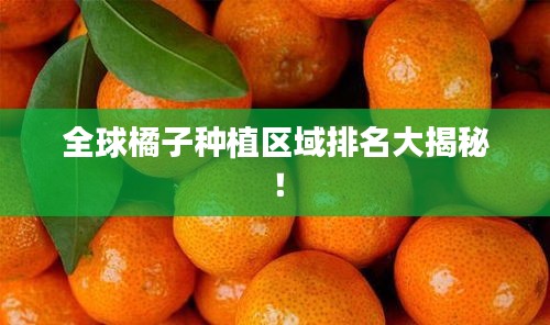 全球橘子種植區(qū)域排名大揭秘！