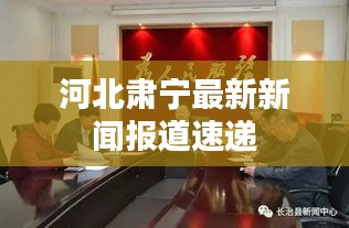 河北肅寧最新新聞報道速遞