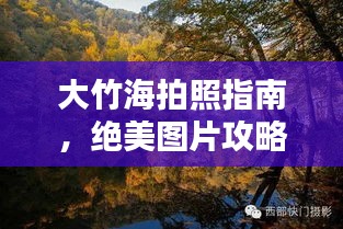 大竹海拍照指南，絕美圖片攻略與最新美圖分享