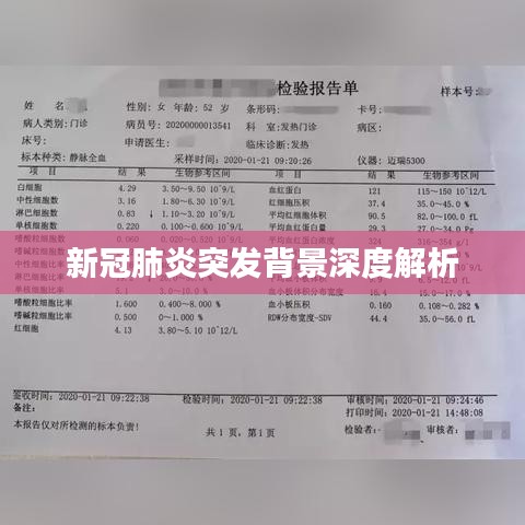 新冠肺炎突發(fā)背景深度解析