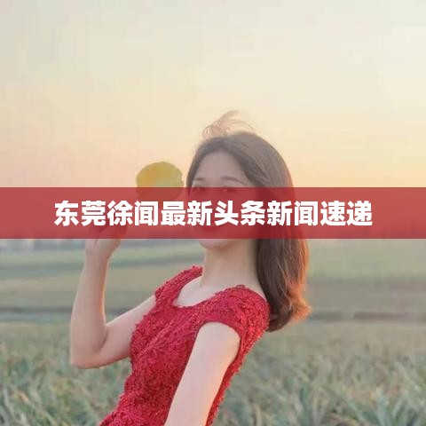東莞徐聞最新頭條新聞速遞