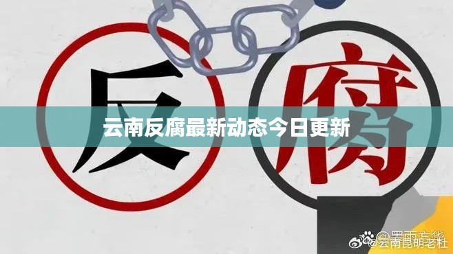 云南反腐最新動態(tài)今日更新